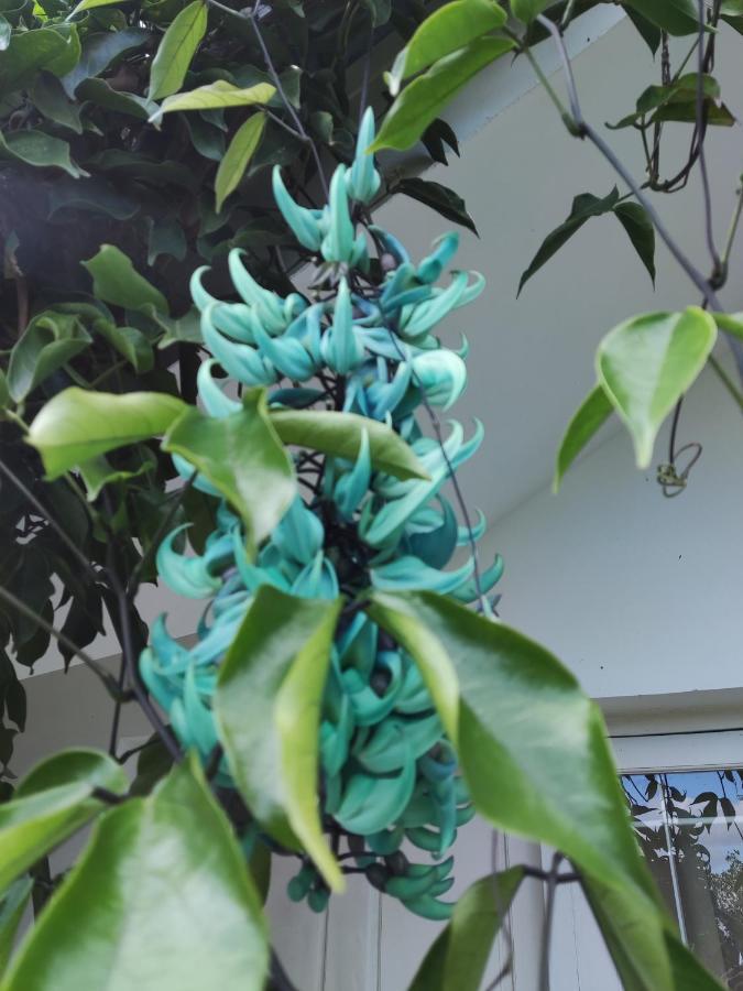 Munnar Tea Hills Resort - Mthr מראה חיצוני תמונה