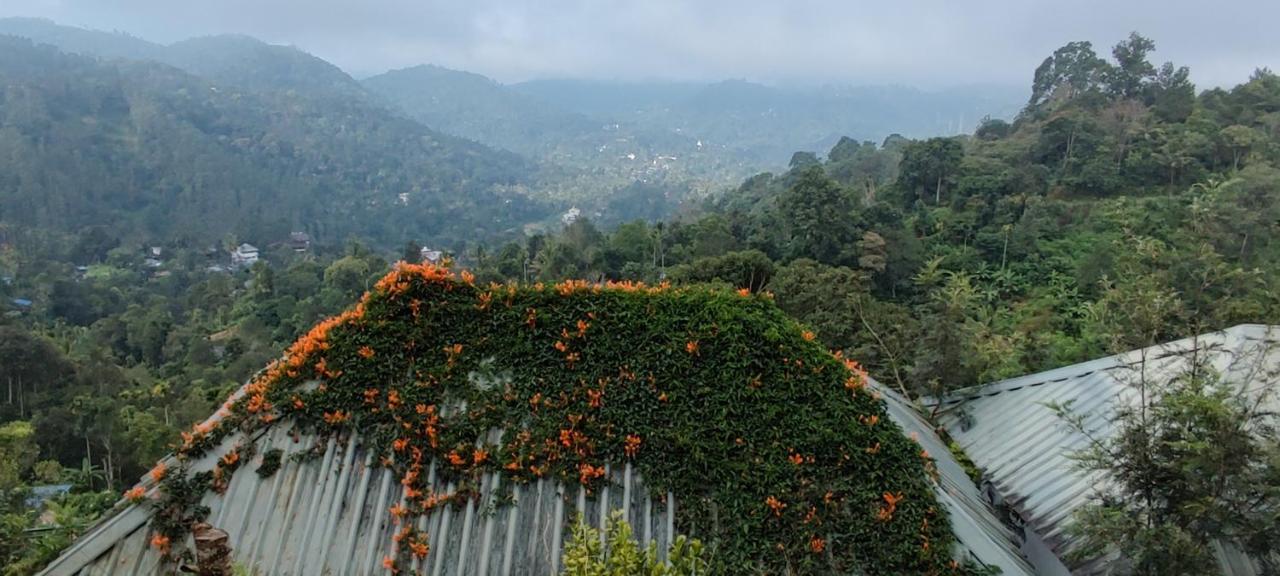 Munnar Tea Hills Resort - Mthr מראה חיצוני תמונה