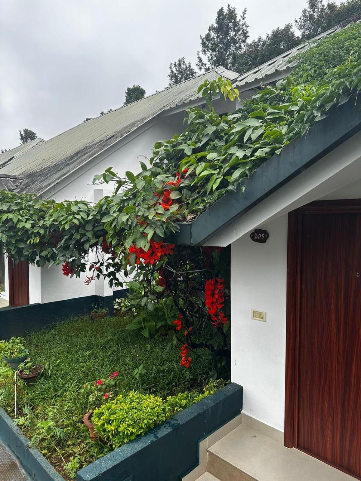 Munnar Tea Hills Resort - Mthr מראה חיצוני תמונה